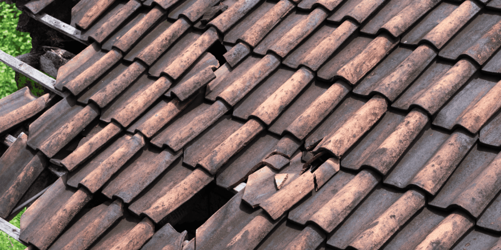 Roof leaks caused by broken clay tiles, leaving gaps that let rainwater seep into the roof structure