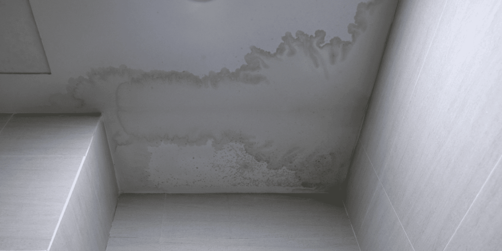 Ceiling stains and peeling paint showing roof leaks inside the home after long-term water exposure