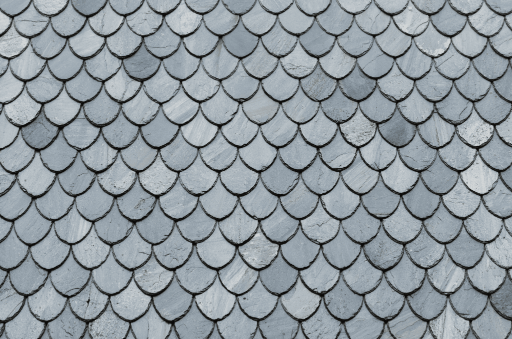 Detailed view of neatly arranged slate roofing tiles, built to deliver long-term strength and a timeless roof appearance.