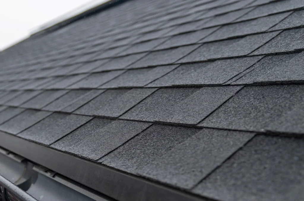 Professional inspection identifies whether a roof leak or condensation is causing moisture problems