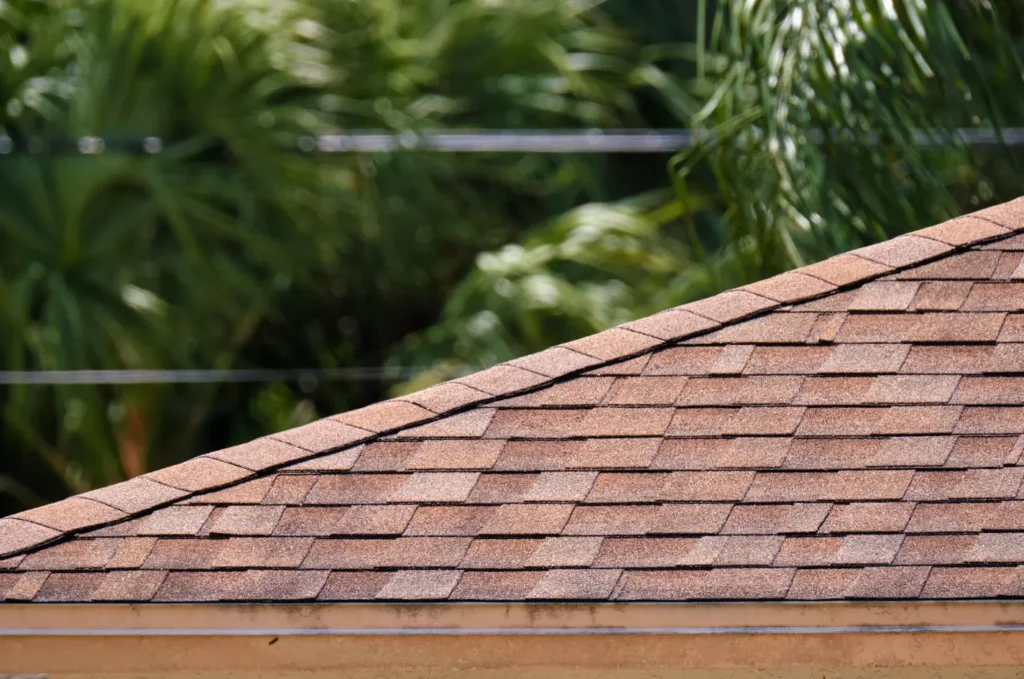 Roof inspection showing areas affected by poor attic ventilation and limited airflow